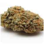 Шишки AK47 (Гидропоника, Бошка) VHQ в Гурьевске Шишки AK47 (Гидропоника, Бошка) VHQ в Гурьевске